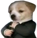 NoObstante emote
