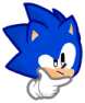 SonicThonking emote