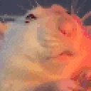 ratJam emote