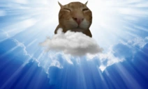 BUH emote