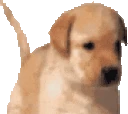 Wiggle emoji