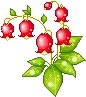 RedFlowers emote