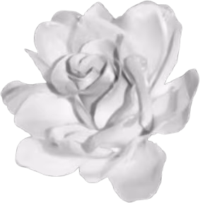 goth_rose emote