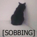sobbing emote