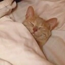 sleep_cat emote