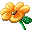 OrangeBlossom emote