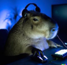 gortGaming