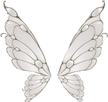 wet_butterfly static emote