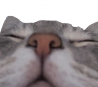 sleepy_cat emote