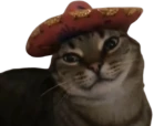 wey emote