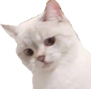 NanaNope emote