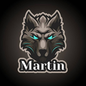 martinsoleimani avatar