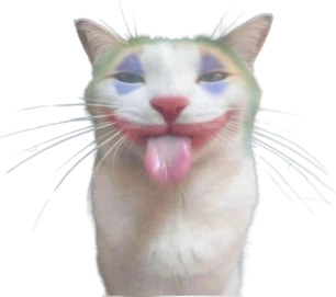 Joker_cat emote
