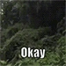 okay emote