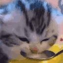 Milk emote