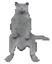 whip emote