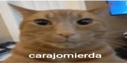 carajomierda emote