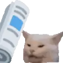 Newspaper_cat emote