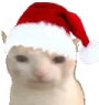 ChristmasCat emote