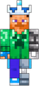 Minecraft_Skin_Front emote