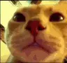 Vibing emote