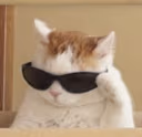CE_koolcatto2 emote