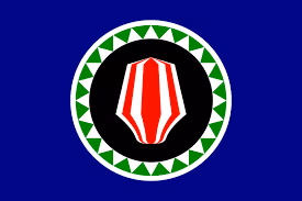 Flag_bi emote