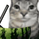 watermelon emote