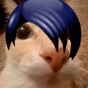 dosedgy emote