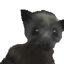 BatJam emote