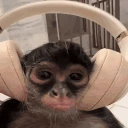 monkeyHead emote