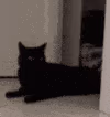 catdeposit emote