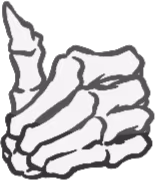 SkeletonThumbsUp emote