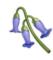Item_Violetgrass emote
