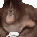 monkeTeaTime emote