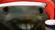 xpp emote