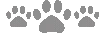 Graycatpaws emote
