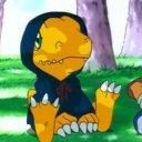 agumon_sit emote