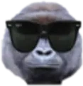 HaramBeCool emote