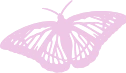 butterfly emote