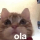 ola emote