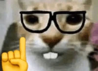 Nerd emote