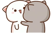 CatShake emote