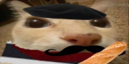 otague emote