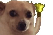dinkdawk emote
