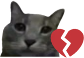 dumbass emote