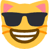 CoolCat emote