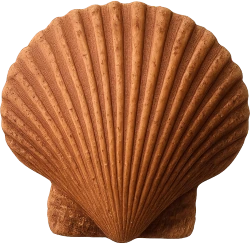 Brownseashell emote