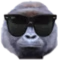 HaramBeCool emote