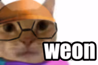Wn emote